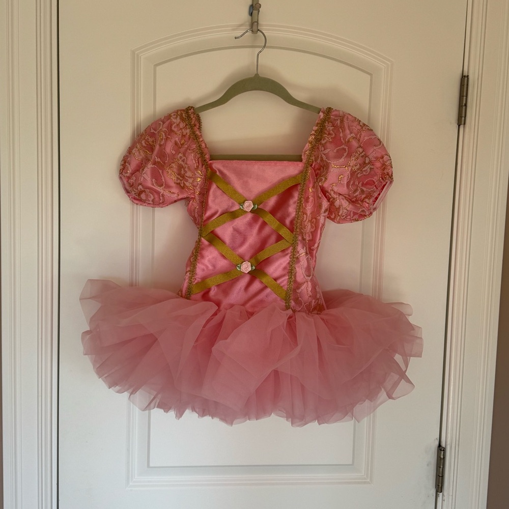 Pink Princess Tutu Costume